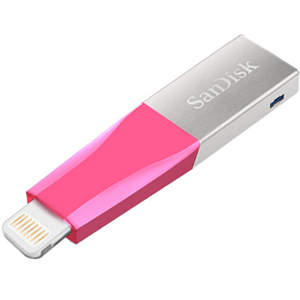 SanDisk SDIX40N-064G-GN6NH